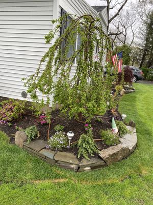 Willow tree corner