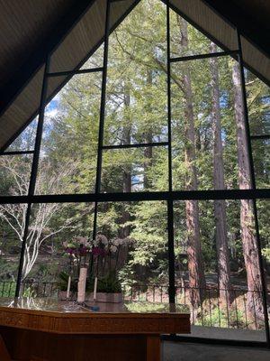 Beautiful Redwoods view in church