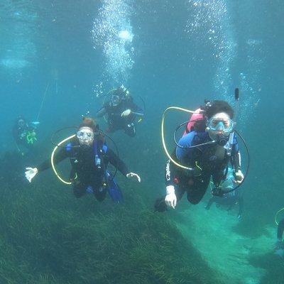 Named as the world's first Cousteau Divers Partner School Canterbury offers a Marine Studies program is for students in PK3 - Grade 12.