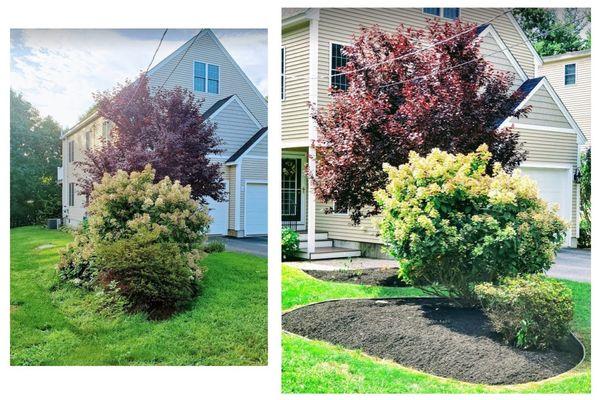 What a difference weeding, trimming, and mulching makes!