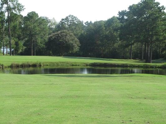 This photo is #9 at Pine Creek.  A precise approach shot is need for the tuff sloping away green over the water.