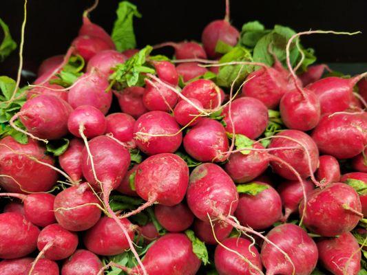 Radish