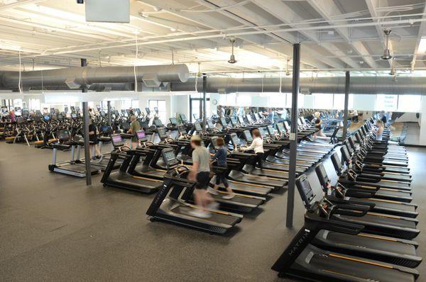 Wellness Floor cardio machines