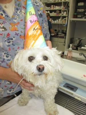 One of our dental procedure patients celebrated his birthday!