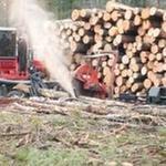 Granite State Forestry Service