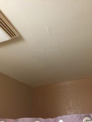 Mold on the bathroom ceiling.