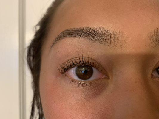 Keratin lash lift by Halee