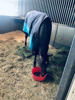 Fun in the stall!