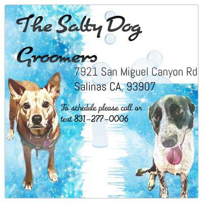 The Salty Dog Groomers