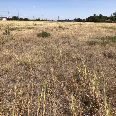 10 acres of grass but no cemetery