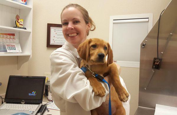 Welcome to the Animal Clinic Del Rancho family!