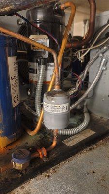 Refrigerant filter dryer for a condensing unit on a walking freezer