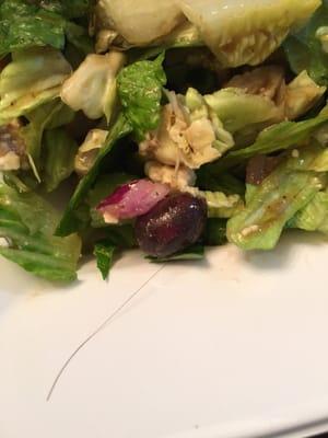 Hair in my salad 12/18/2015