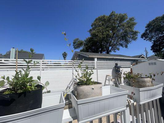 Rear view from deck with top 2' open Knotwood.