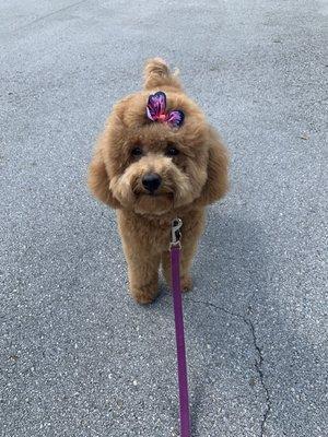 Showing off her new hair cut.