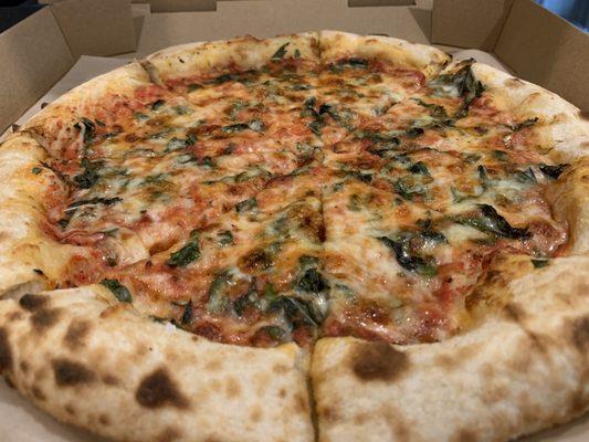 Margherita beauty shot. This specimen produced perfect 'pizza bones' - crisp outside, chewy inside and good char