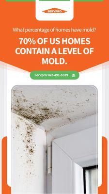 Mold Damage