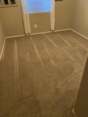 Excellence Janitorial Services & Carpet Cleaning