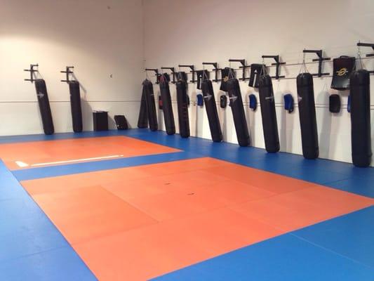 The main MMA room. Banana bags along one wall. Plenty of space.