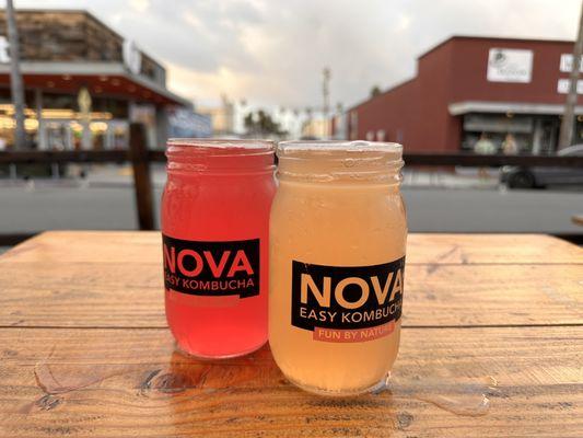 Nova Easy Kombucha