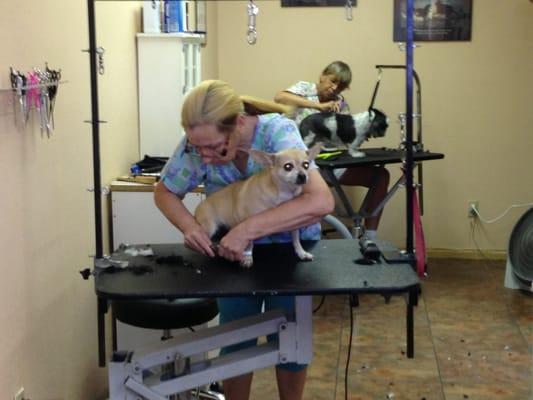 Buddy getting his nails trimmed all for $5!