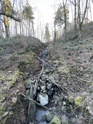 Another hidden waterfall found in the city