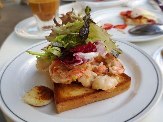 Shrimp salad on brioche