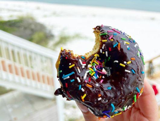 Chocolate Glazed, Rainbow Sprinkled