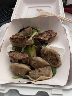 Incredible Pork & Cabbage Dumplings