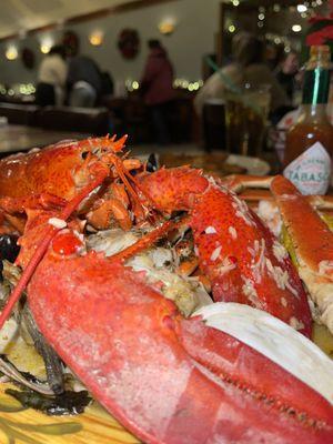 Large Clam Bake; steamed lobster, shrimp, clams, mussels and steamers in wine and garlic sauce.