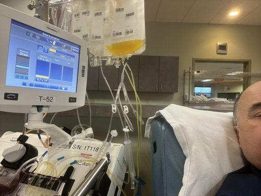 Platelet day.