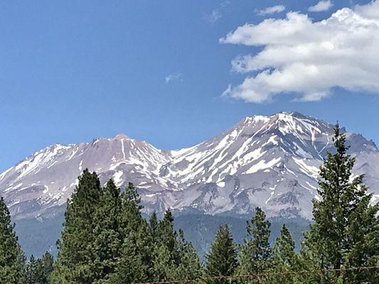 Mount Shasta views