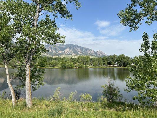 Always great view walking around Viele Lake, even on a hazy humid summer day.