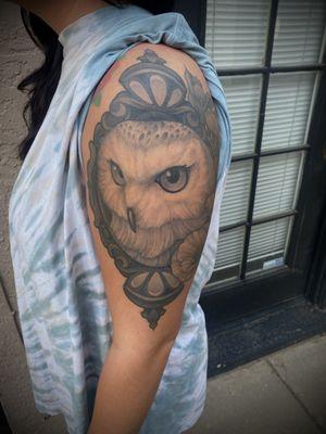 Owl sleeve