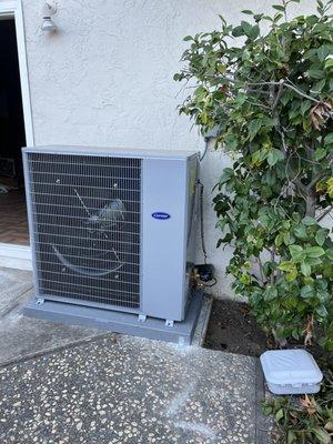 Carrier Slim Line heat pump.