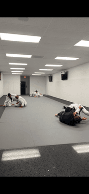 Pedro Sauer Gracie Jiu Jitsu