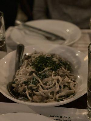 Fettuccini with cashew cream sauce