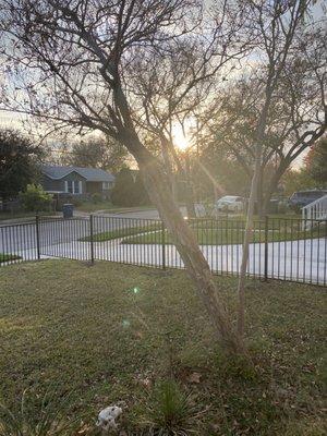 Side fence view