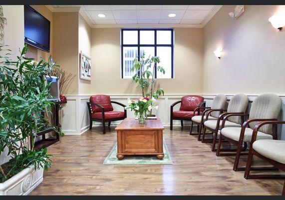 Michael Rothstein Dentistry relaxing waiting room.