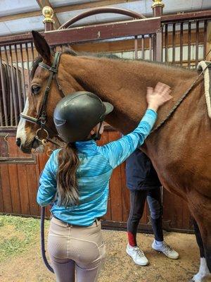 Equine Boulevard