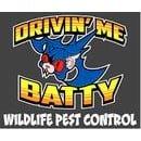 Drivin' Me Batty