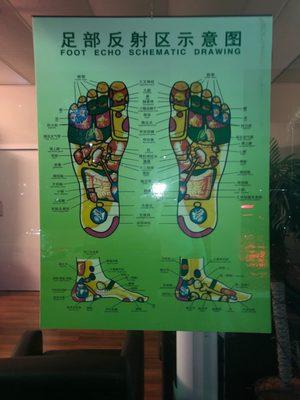 Reflexology