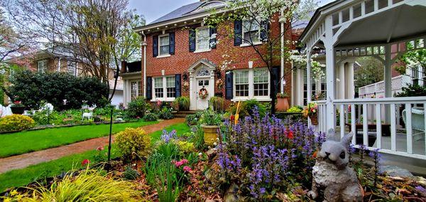 April showers already has the garden glowing on this gray day.