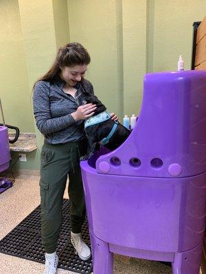 Our self serve dog wash is super clean and easy to use!