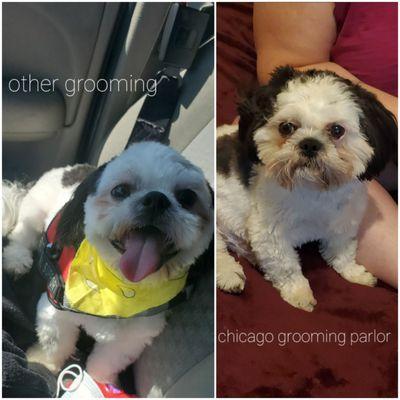 Photo with bandana is from a different pet grooming. The one wothout its from this place.