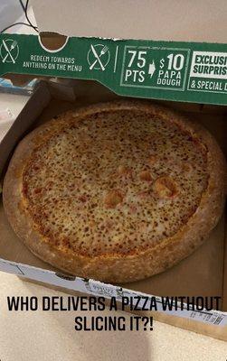 Papa Johns Pizza