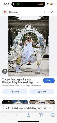 Disney's Fairy Tale Weddings & Honeymoons