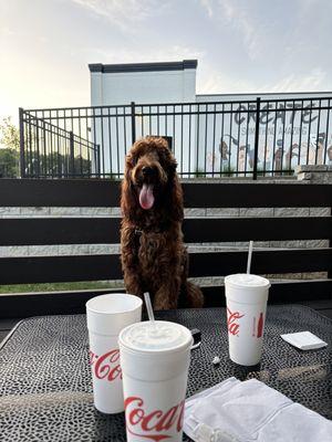 Pet friendly outdoor seating.