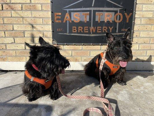 Persey and Calvin enjoying the patio