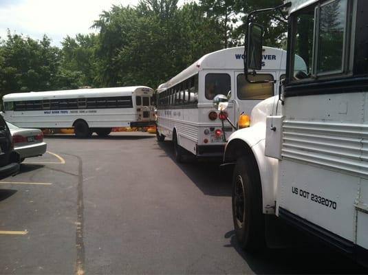 Busses lined up to take you up the river